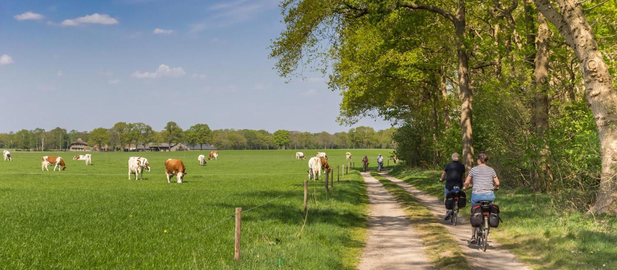 Resort Bad Boekelo エンスヘーデ エクステリア 写真